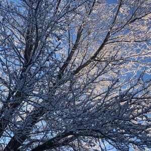 Meet your Posher, Ellen